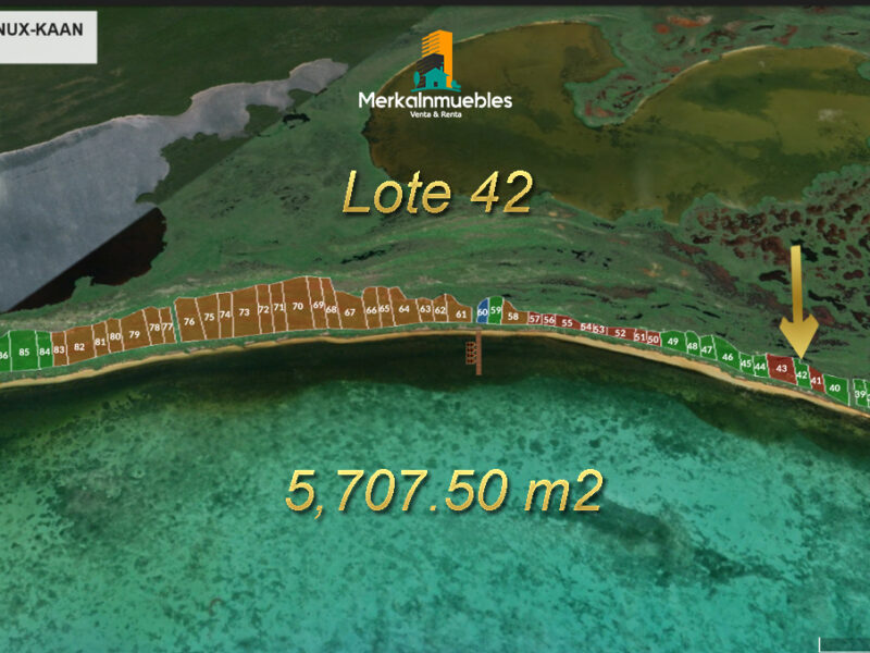 Lote 42 - Terreno A Pie de Playa Caribe Mexicano - Nuxkaan
