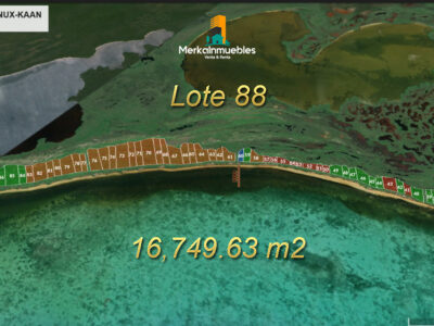 Lote 88 - Terreno A Pie de Playa Caribe Mexicano - Nuxkaan