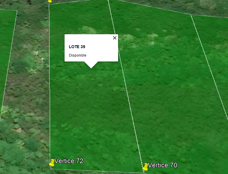 Lote 39 - Terreno A Pie de Playa Caribe Mexicano - Nuxkaan