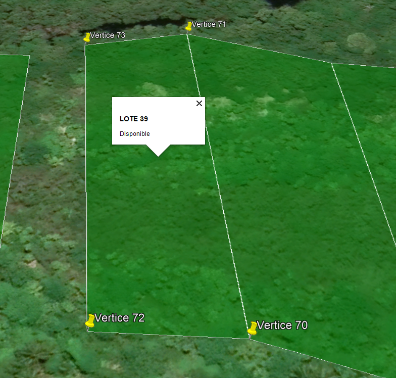 Lote 39 - Terreno A Pie de Playa Caribe Mexicano - Nuxkaan