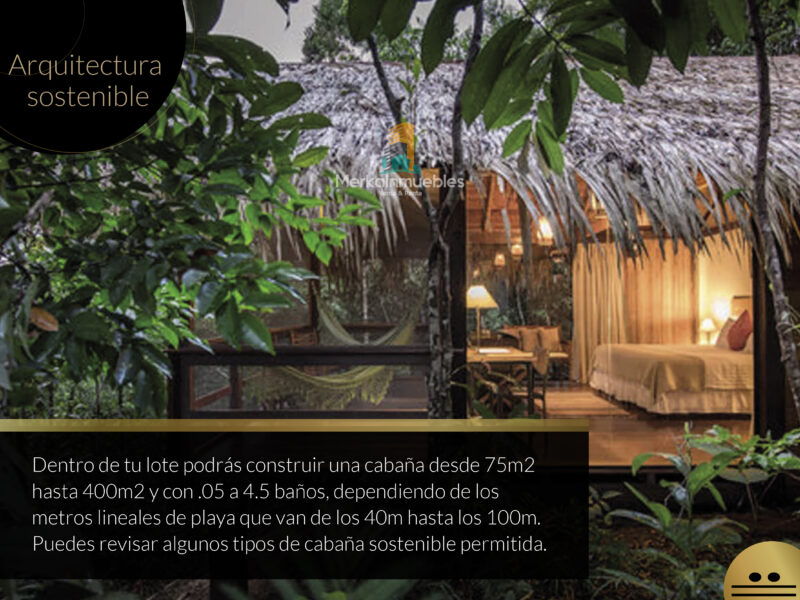 Lote 91 - Terreno A Pie de Playa Caribe Mexicano - Nuxkaan