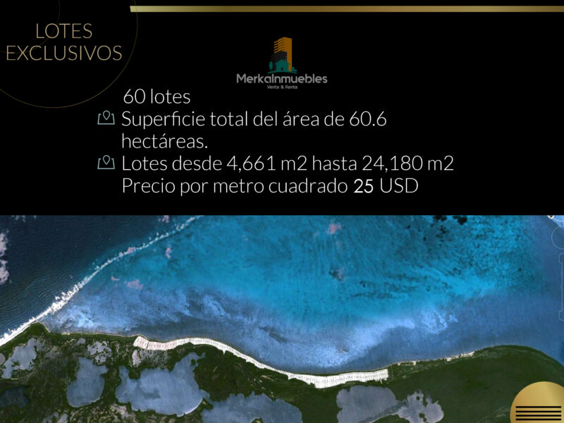 Lote 89 - Terreno A Pie de Playa Caribe Mexicano - Nuxkaan