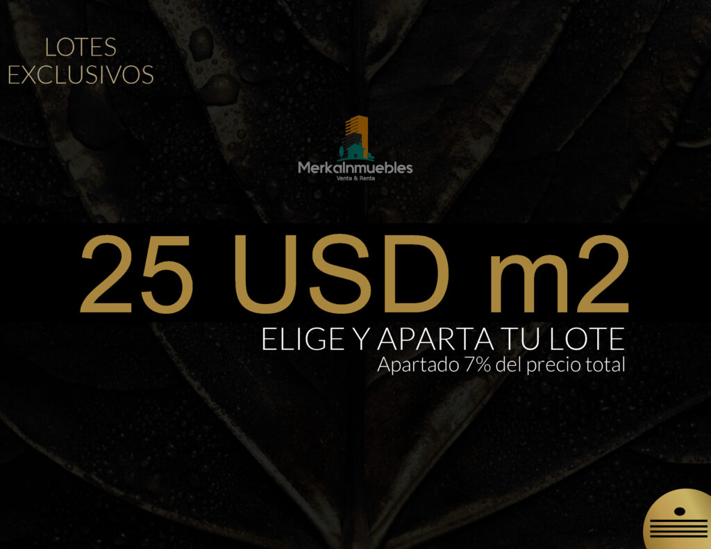Lote 89 - Terreno A Pie de Playa Caribe Mexicano - Nuxkaan