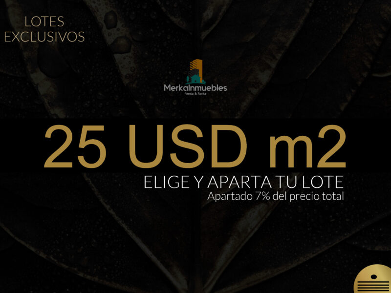 Lote 91 - Terreno A Pie de Playa Caribe Mexicano - Nuxkaan